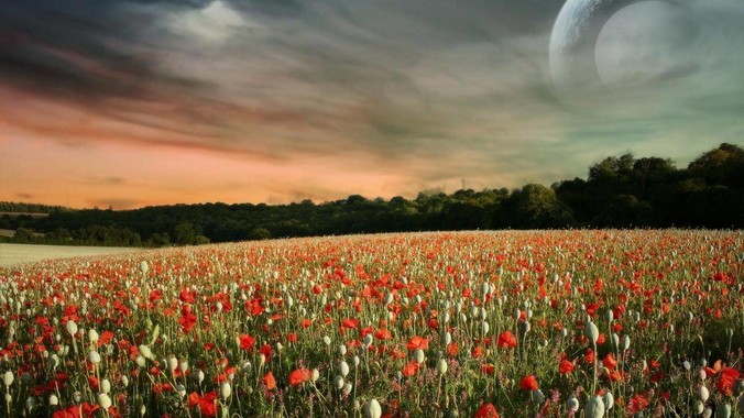 女生被踢裆也会很疼吗？